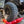 Load image into Gallery viewer, Factor55 Actiontrax Traction Boards (pair) 00441-01

