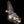 Load image into Gallery viewer, Race Inspired 6 Lug Hub Cap
